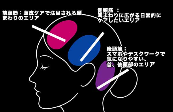 電気ブラシは顔と頭皮をケアする事で顔全体を引き上げる