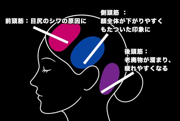 電気ブラシは顔と頭皮をケアする事で顔全体を引き上げる